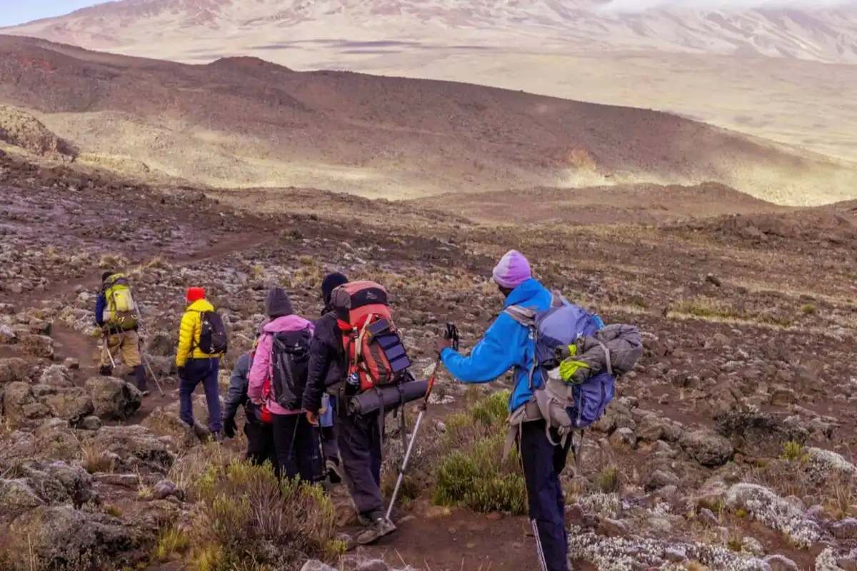 6 Days Machame Route Kilimanjaro Climbing
