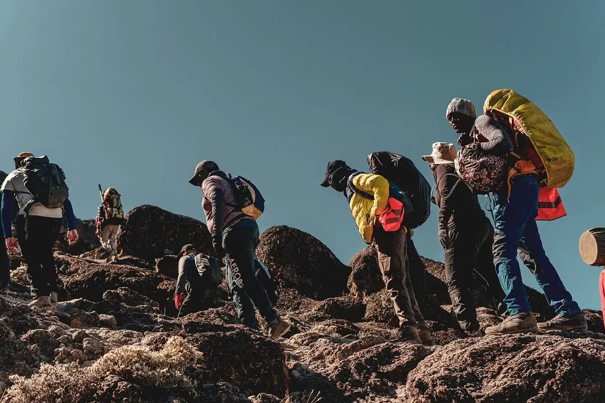 7 Days Lemosho Route – Mount Kilimanjaro Climb